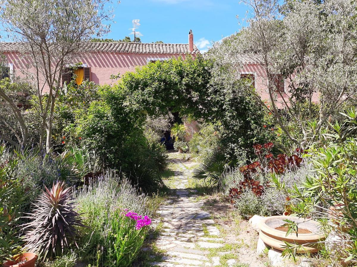 La Fattoria Delle Tartarughe Villa San Gregorio  Exteriör bild