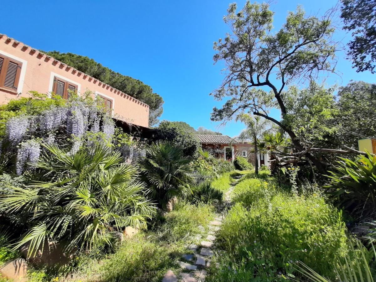 La Fattoria Delle Tartarughe Villa San Gregorio  Exteriör bild