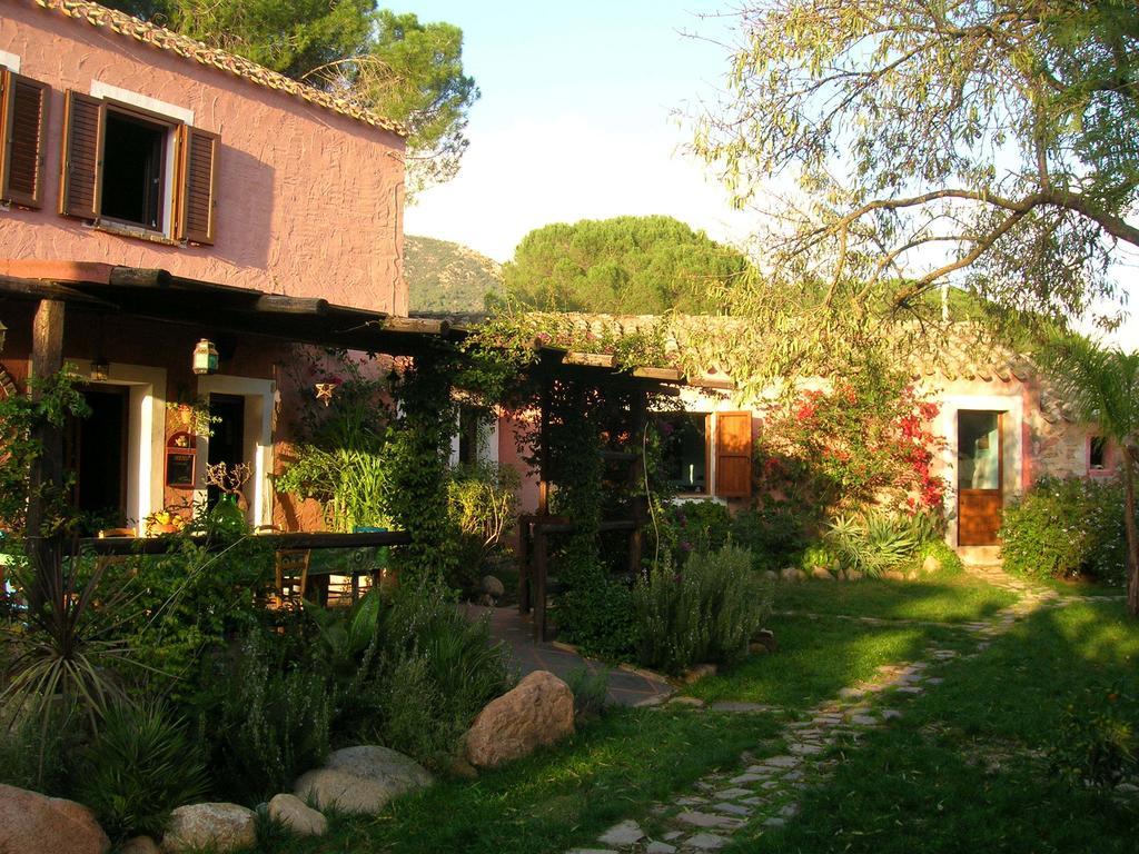 La Fattoria Delle Tartarughe Villa San Gregorio  Exteriör bild