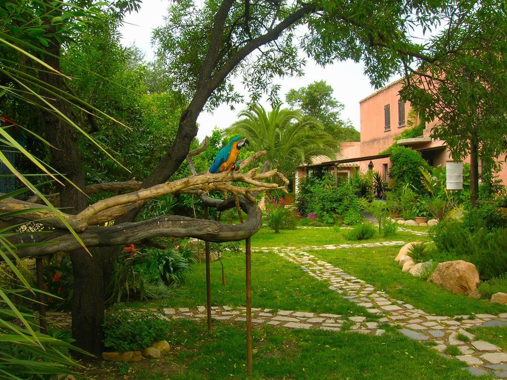 La Fattoria Delle Tartarughe Villa San Gregorio  Exteriör bild