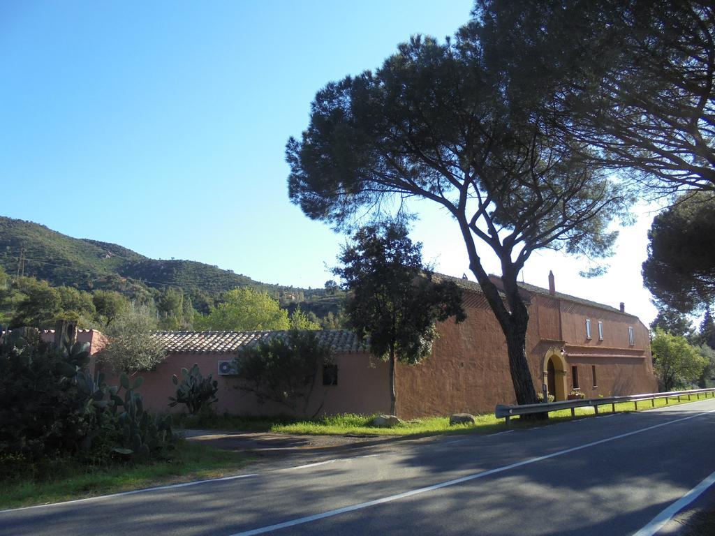 La Fattoria Delle Tartarughe Villa San Gregorio  Exteriör bild