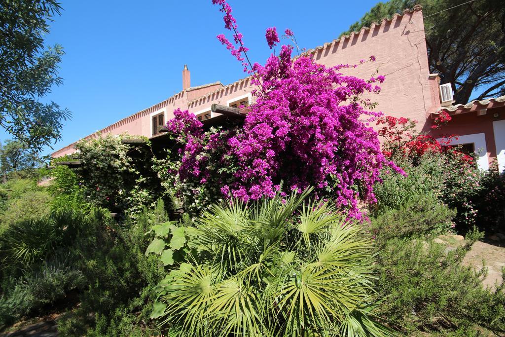 La Fattoria Delle Tartarughe Villa San Gregorio  Exteriör bild